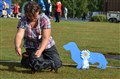 Findus BIS 2 VALP Vårgårda 2017 DSC_0814 (2).JPG